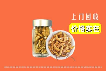 信阳潢川县回收散虫草