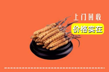 信阳潢川县回收冬虫夏草